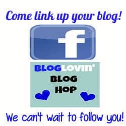 Bloglovin blog hop