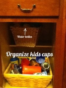kids cups
