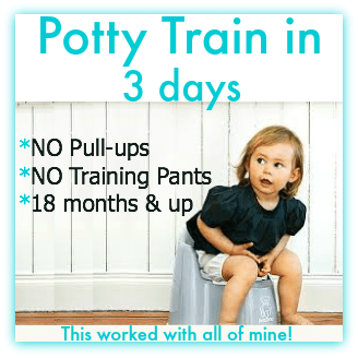 potty train in 3 days
