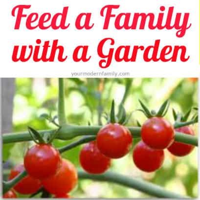 feed a family with a garden - how you can do it for your family!