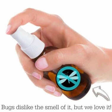 DIY bug spray bottle with text below it.