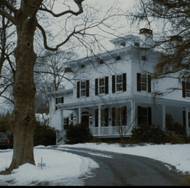 A house covered in snow.