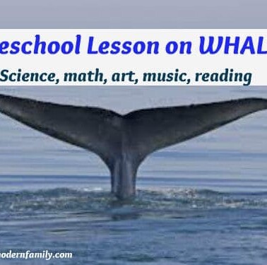 A whale's tail going under the water with text above it.
