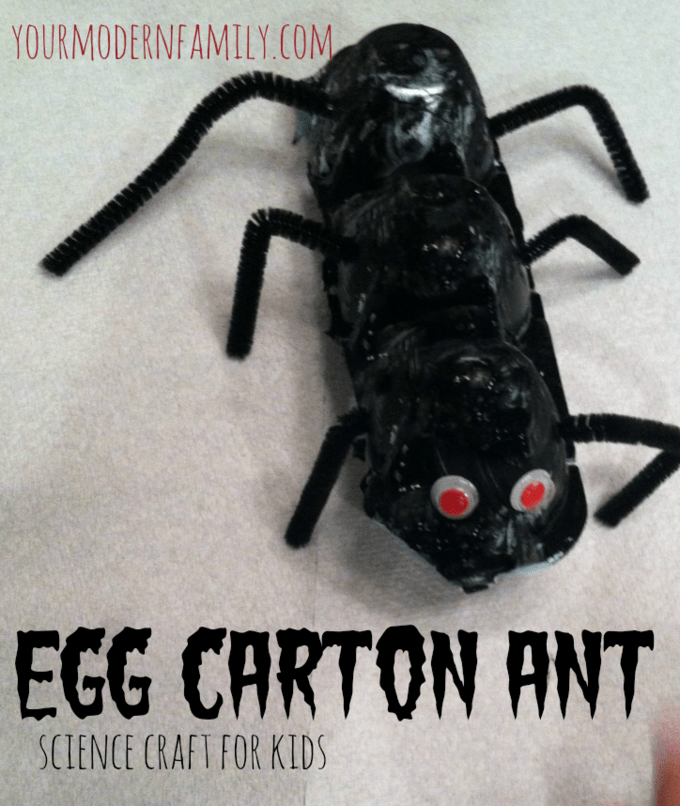 egg carton ant craft