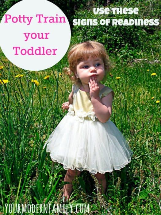 Potty Train Toddler - is your child ready?