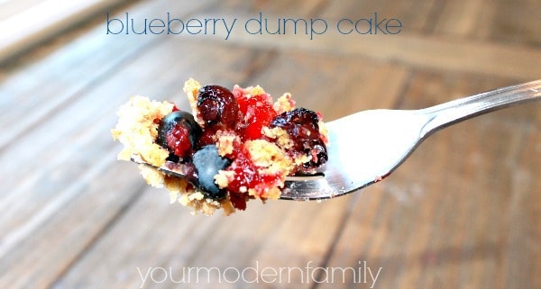 4 ingredient blueberry dump cake - #littlechanges