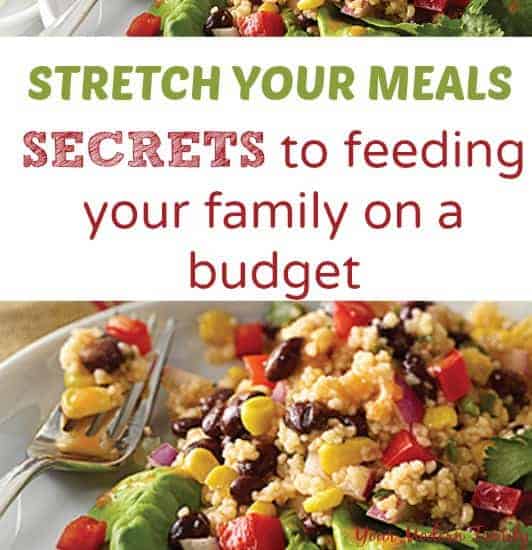 save money by stretching  your meals - secrets to doing this
