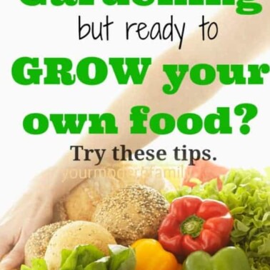 new to gardening but ready to grow your own food? Tips to help