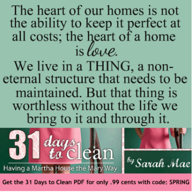 sale- book for 99 cents!!