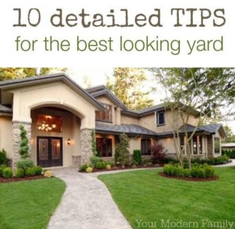 10 tips for the best yard in the neighborhood!