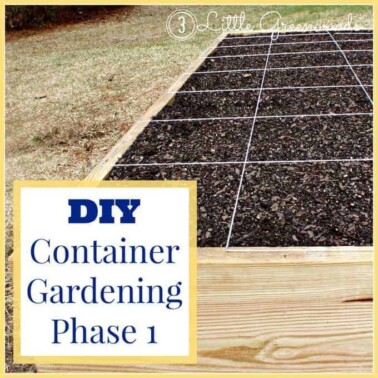 DIY container garden