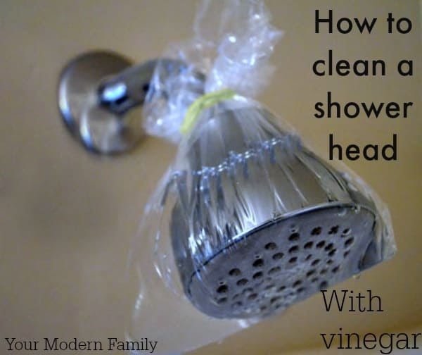 clean a shower head with vinegar