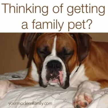 A dog lying on a bed with text above him.