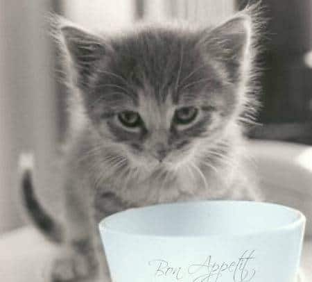 A kitten sitting next to a bowl of food.
