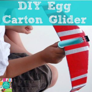 DIY egg carton glider