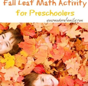 Fun fall math lesson for preschoolers using leaves & twigs!!!