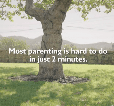 A tree in the middle of a field with text in front of it.