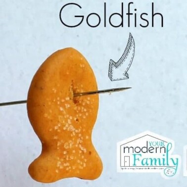 A Goldfish cracker with a needle through it with text above it.