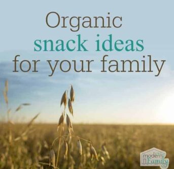 organic snack ideas for your family