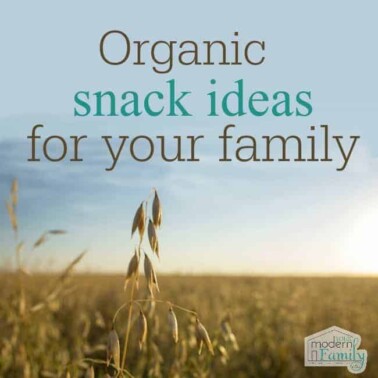 organic snack ideas for your family