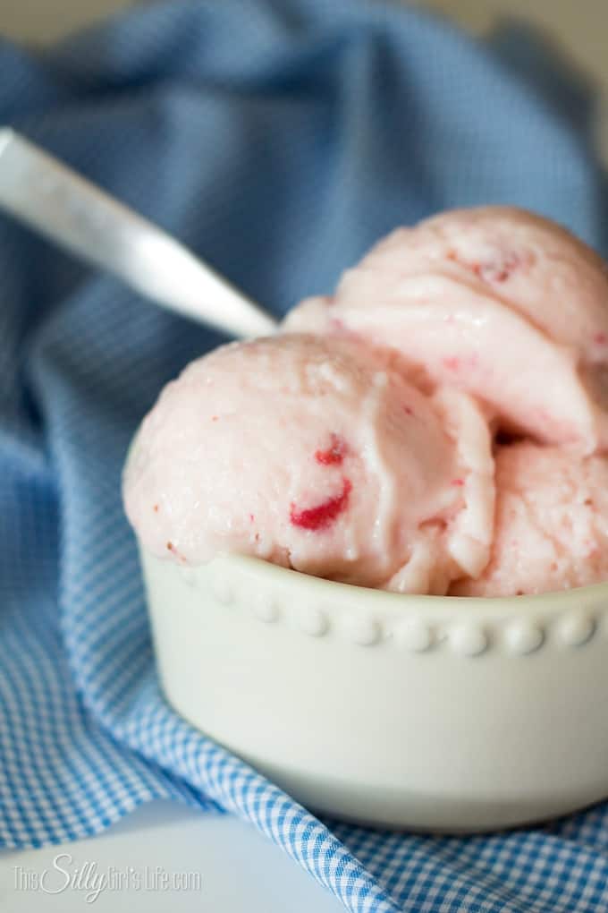 3-Ingredient-No-Churn-Frozen-Yogurt-from-ThisSillyGirlsKitchen-12