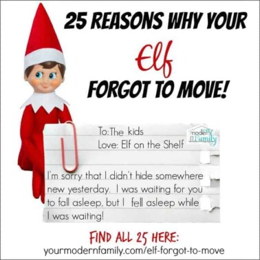 25 reasons why our Elf forgot to move