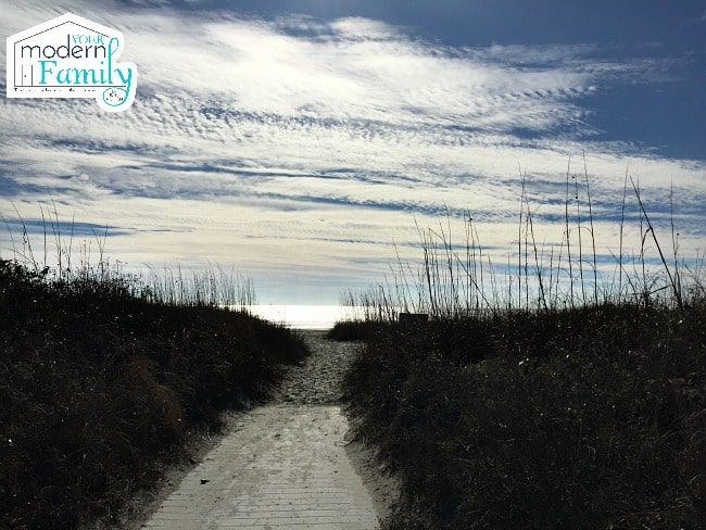 A view of a pathway to the beach.