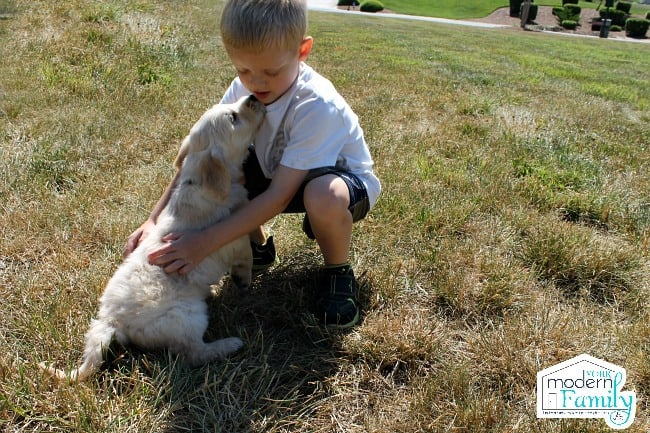 A little boy playing with a dog in the grass.