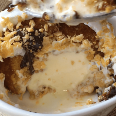 fried ice cream