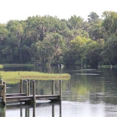 A close up of a tree lined pond with a dock.