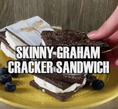skinny Weight Watcher ice cream sandwich - 1 weight watcher point