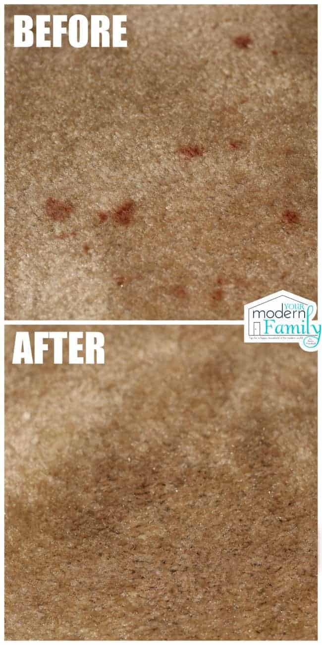 A before and after picture of a stained and clean carpet.