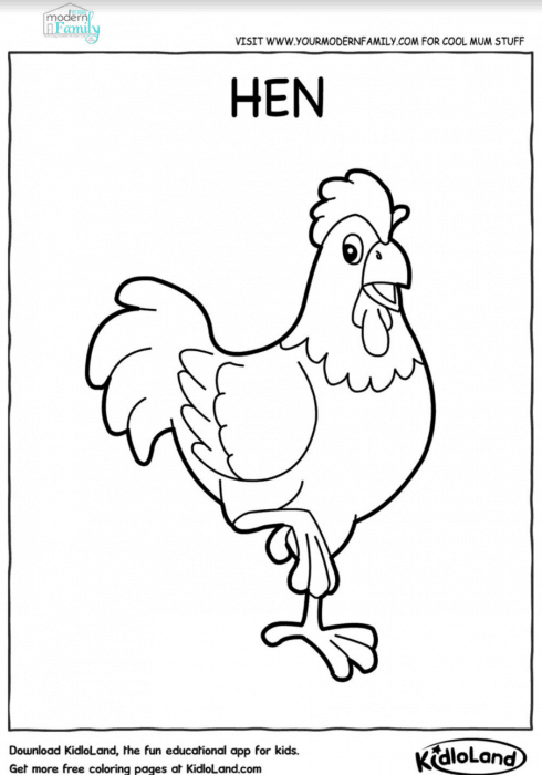 A printable coloring sheet of a hen from KidioLand.