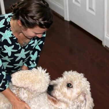 A woman rubbing a dogs belly.