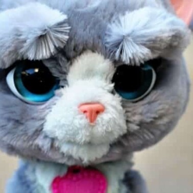A close up of a small stuffed animal.