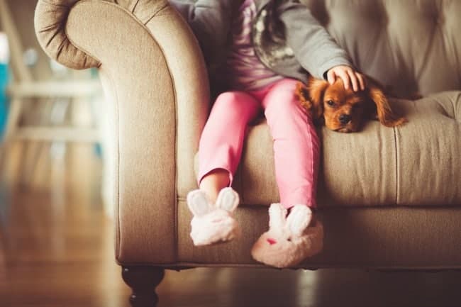 A dog lying on a couch beside a little girl.