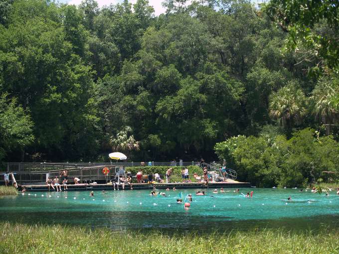 A natural swimming area with a dock and grass around it with trees in the background.