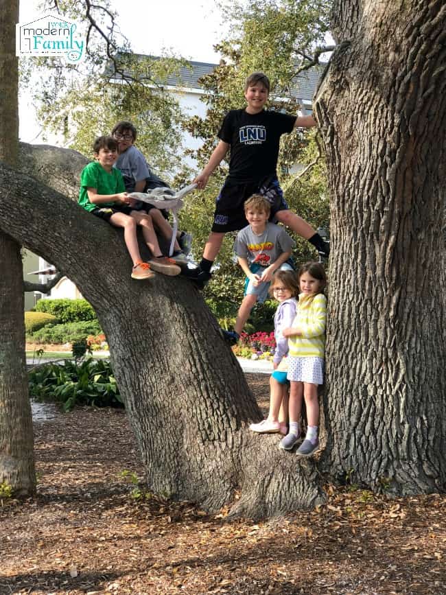 A group of kids sitting in a tree.