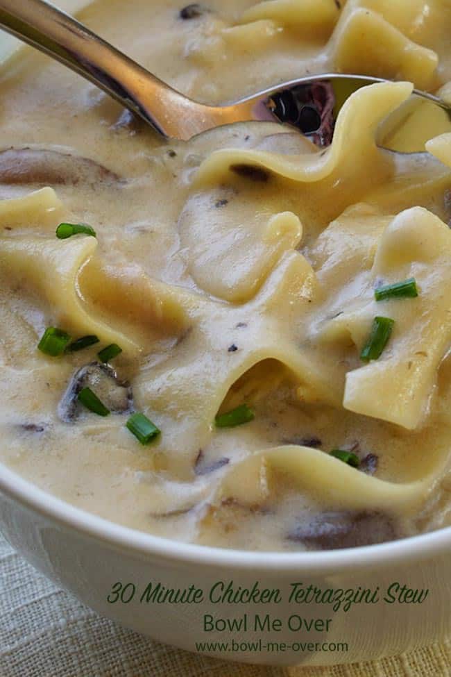 A close up of a bowl of Chicken Tetrazzini Stew.