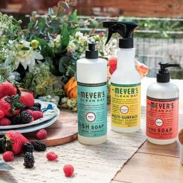 A variety of Meyer's cleaning products with a plate of berries beside them.