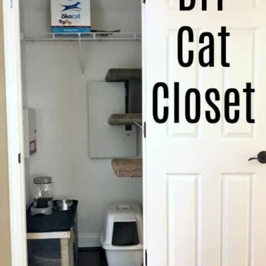 A close up of a closet set up with all cat supplies and items.