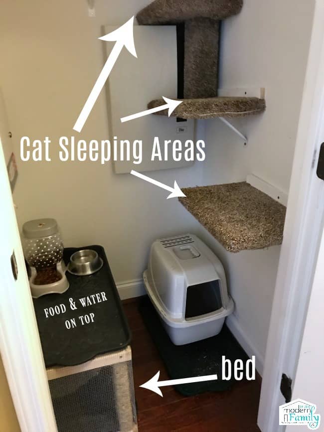 Closet turned into a cat room with litter box, feeding area and carpeted shelves to sit on.
