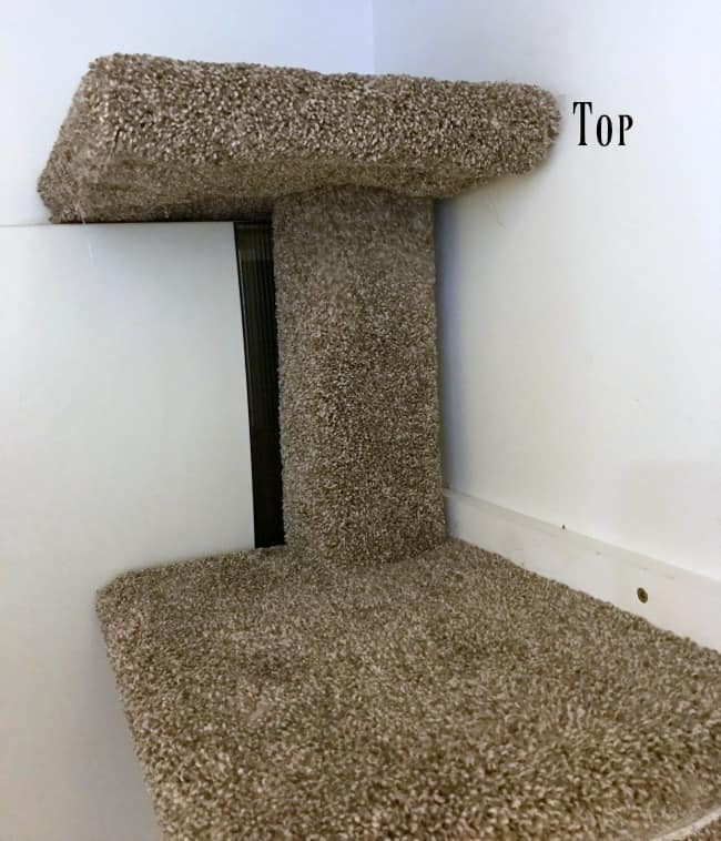 A close up of a carpeted cat climbing tree.