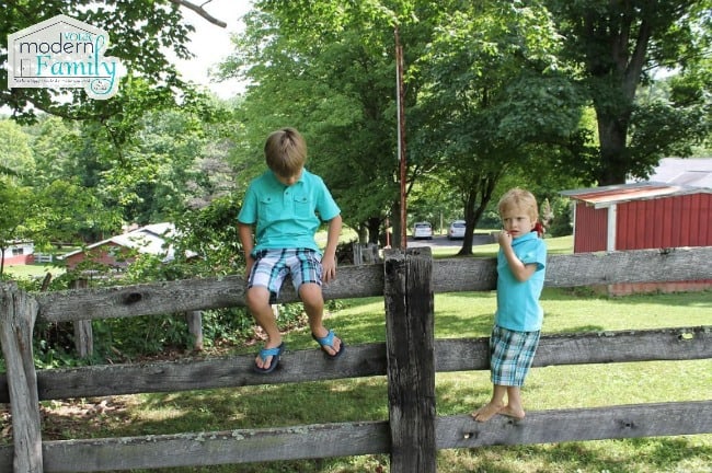Two young boys sitting on a fence next to a tree.