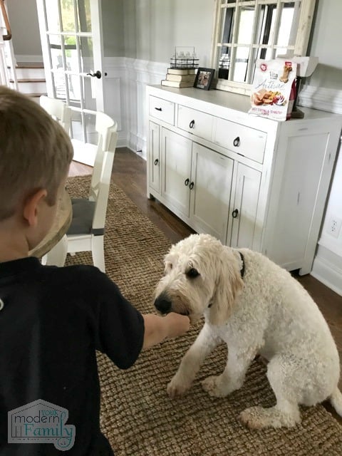 A boy giving a dog a treat.