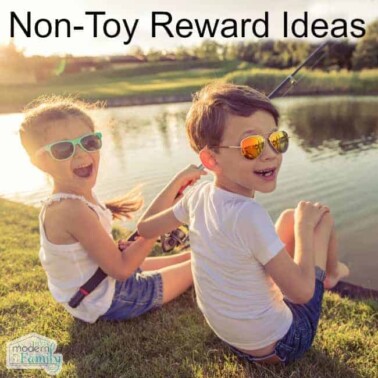 non toy rewards