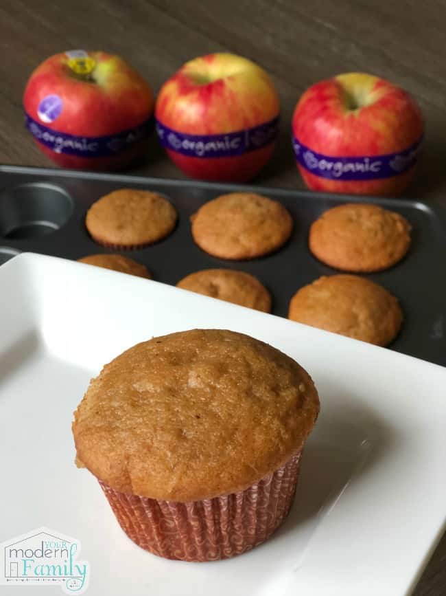  A Muffin sitting on a plate with apples in the background.