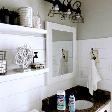 View of a bathroom with Clorox cleaning products on the counter.