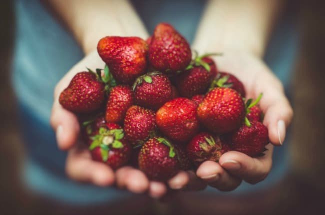 A close up of hands holding strawberries.