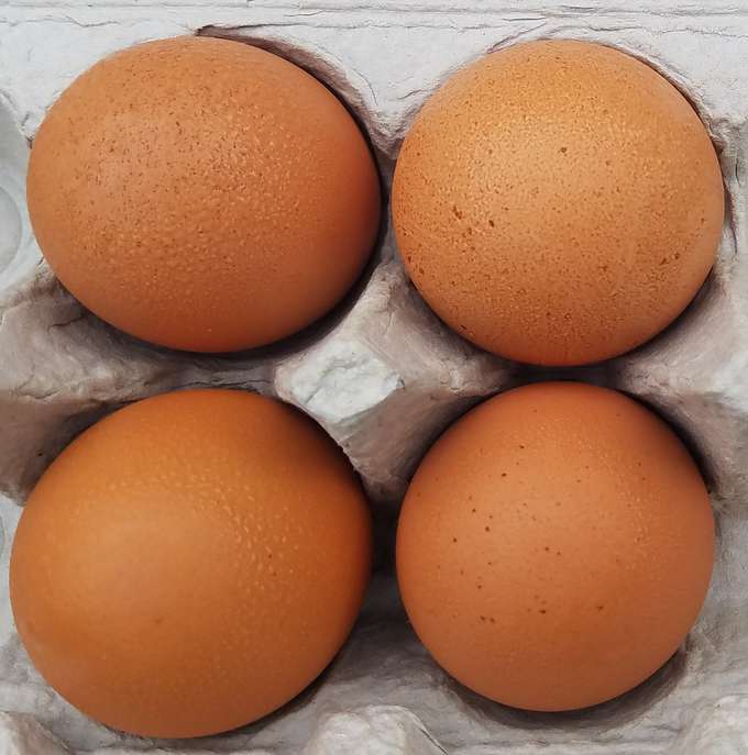Four eggs in a carton.